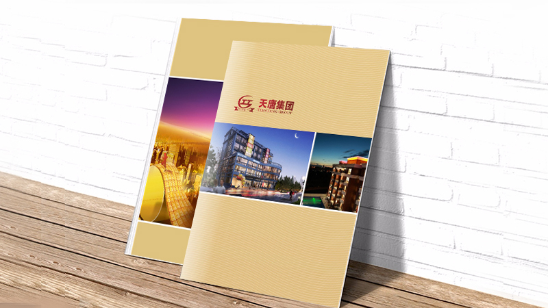 天唐集團選3-畫冊.jpg